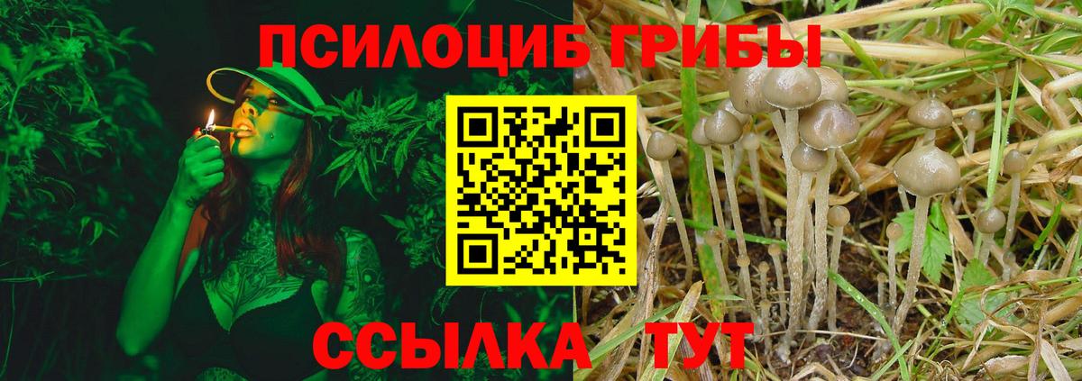 Галлюциногенные грибы MAGIC MUSHROOMS Лениногорск