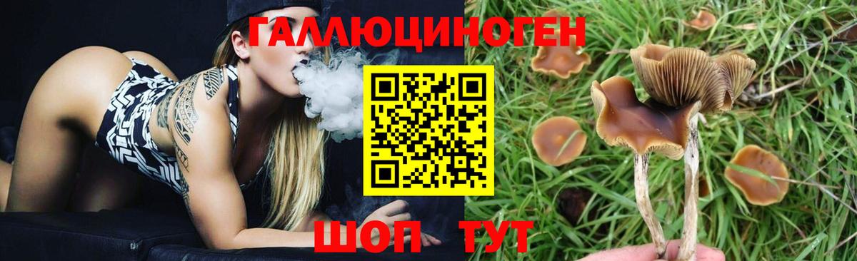как найти закладки  Псилоцибиновые грибы Magic Shrooms  Вход с VPN  Лениногорск  Галлюциногенные грибы GOLDEN TEACHER 